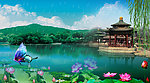 荷花湖畔风景
