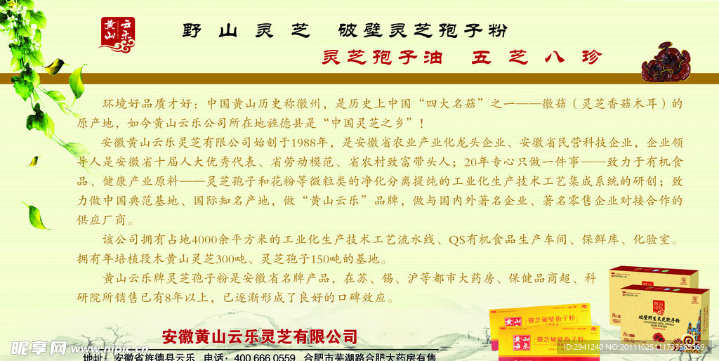 黄山云乐灵芝