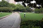 上海街头公园景观参考图片