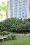 上海街头游园绿地照片
