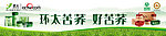 环太苦荞茶