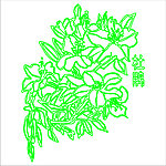 杜鹃花
