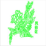 凤仙花