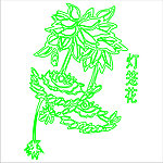 灯笼花