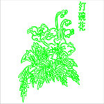 打碗花