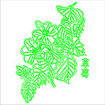 草莓