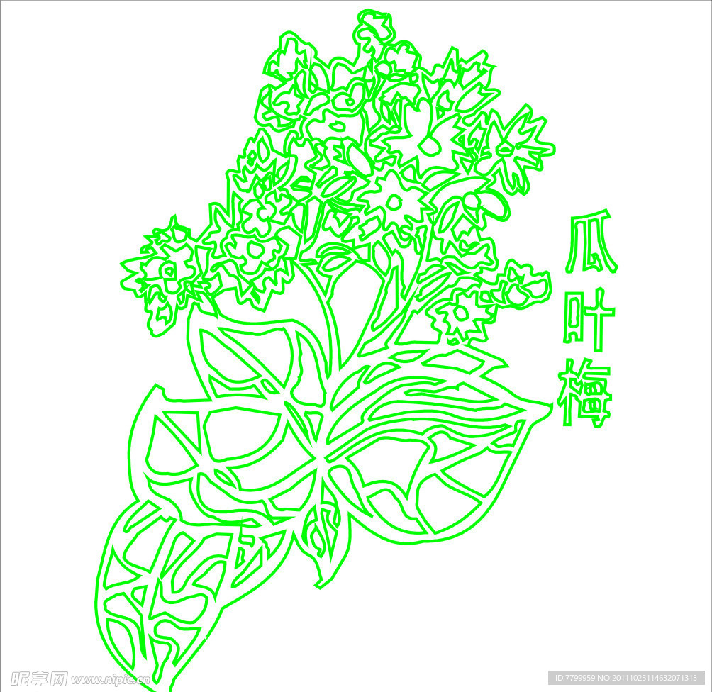 瓜叶梅