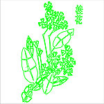 桂花