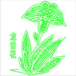 龙舌花