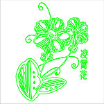 凌霄花