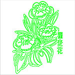 瞿麦花