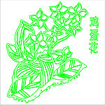 鸡蛋花