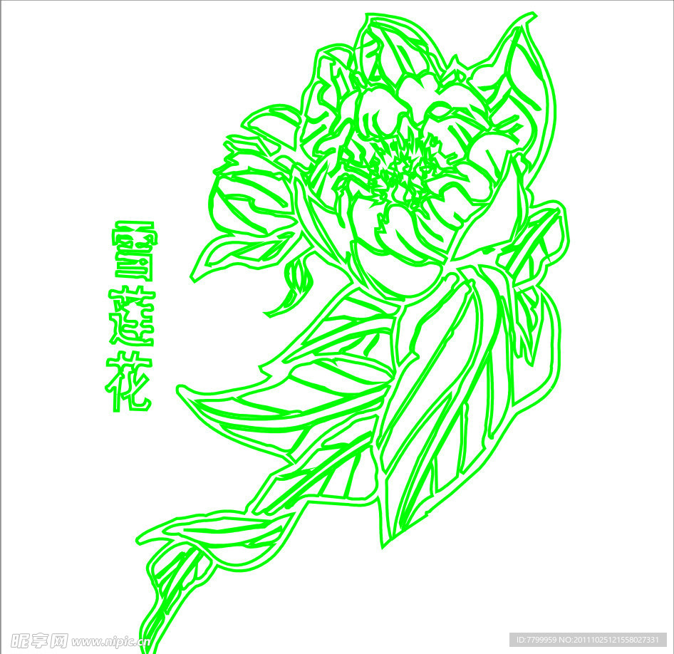 雪莲花