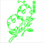 野蔷薇
