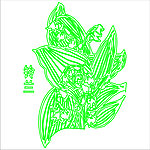 银兰