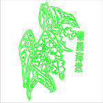 银星海棠