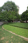 上海街头游园绿地照片