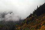 山间风光