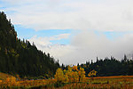 山水风景