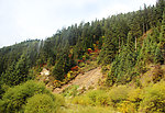 山水风景