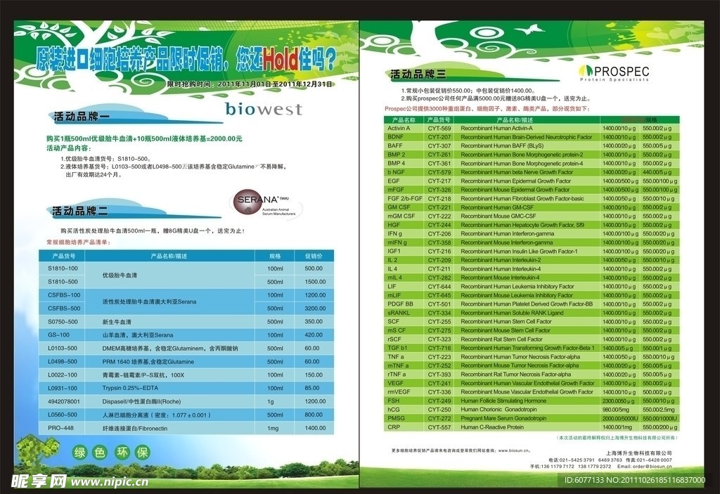 广告设计宣传页