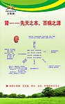 无限极 肾