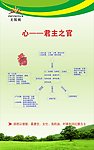 无限极 心