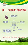 无限极 脾