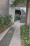 上海街头照片