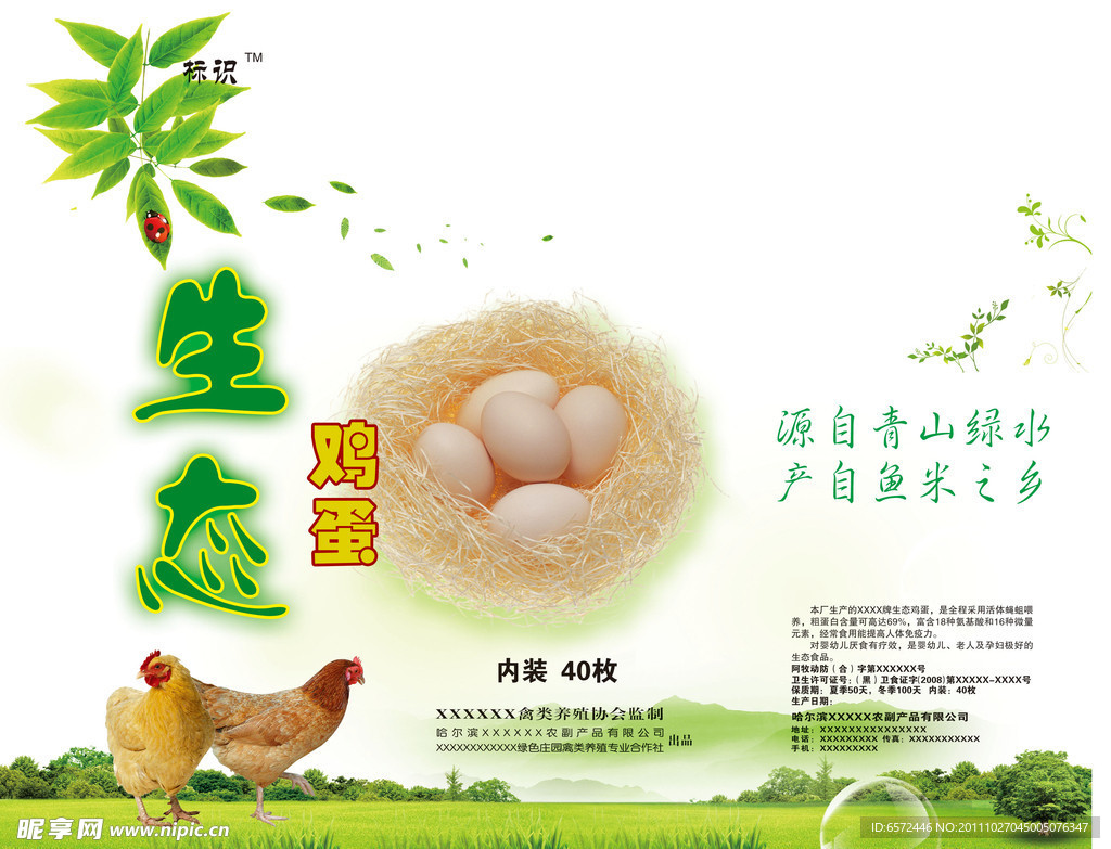 生态鸡蛋