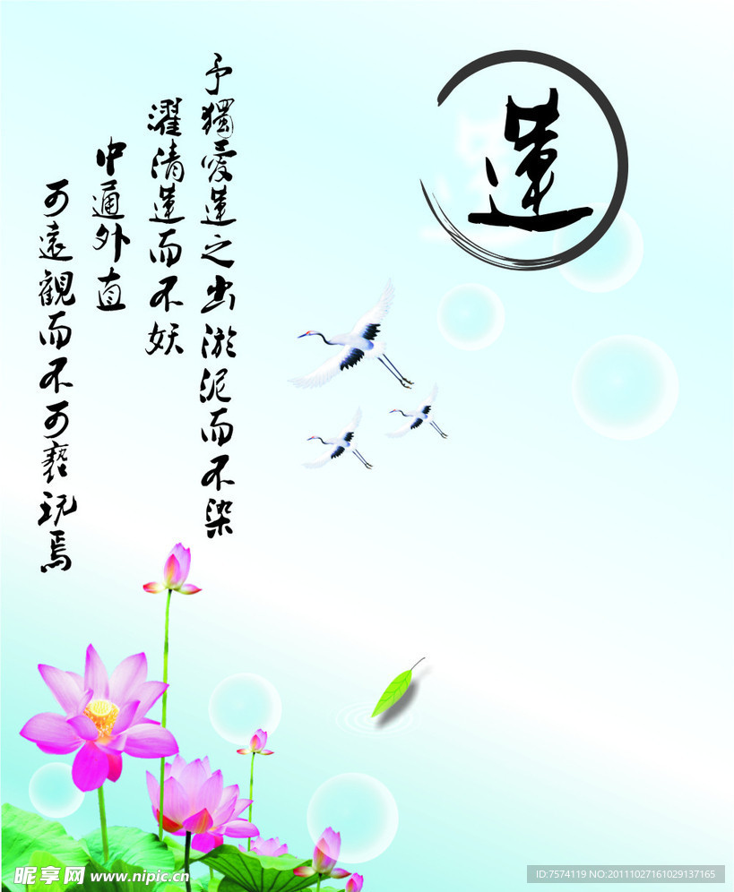 莲花