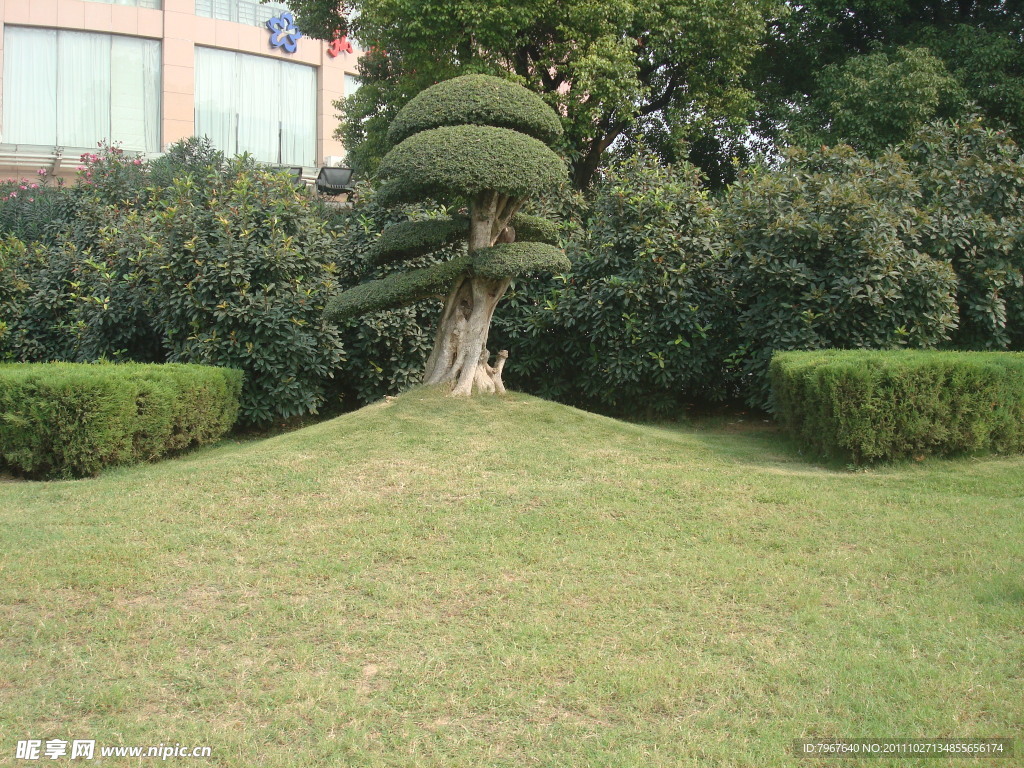 公园