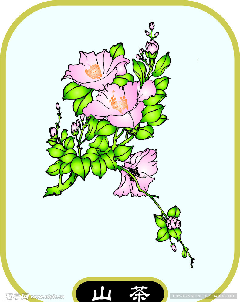 山茶