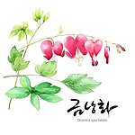 植物绘画