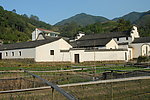 田园
