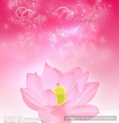 莲花PS笔刷