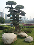 公园