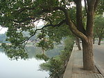 东湖边