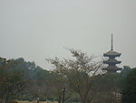 武汉东湖樱园