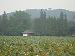 武汉东湖风景
