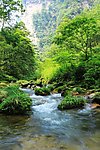 小河流水