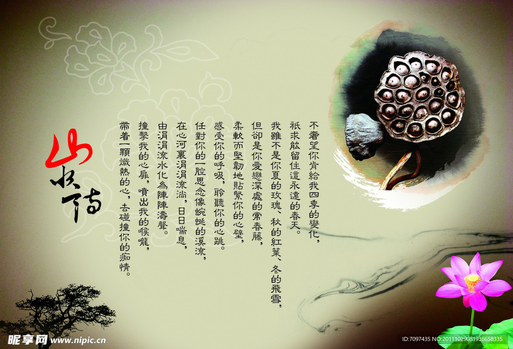 中国传统文化 莲子