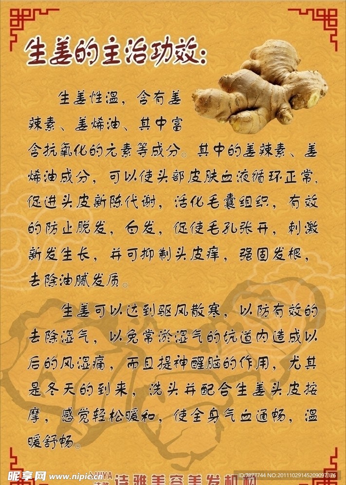 生姜的主治功效