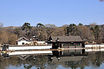 文园之春