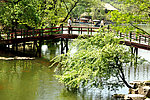 热河之夏