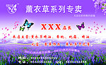 薰衣草名片