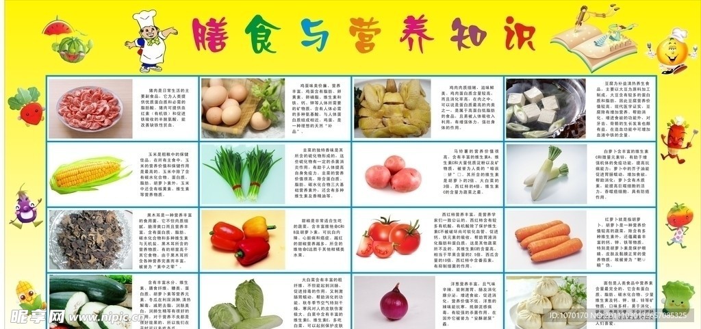 膳食与营养知识