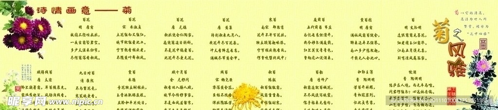 诗情画意系列 菊之高雅