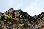 大山