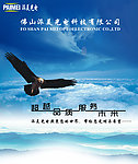 雄鹰翱翔